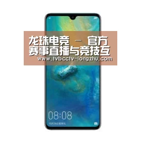 华为无线快充手机