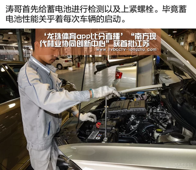 ‘龙珠体育app比分直播’“南方现代林业协同创新中心”获首批江苏高校协同创新中心立项建设(图3) 足球直播