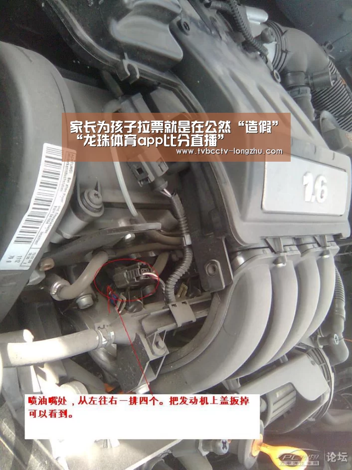 家长为孩子拉票就是在公然“造假”“龙珠体育app比分直播”(图2) 赛事数据直播