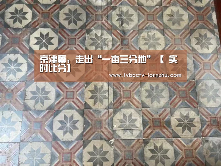 京津冀,走出“一亩三分地”【 实时比分】(图4) 实时比分