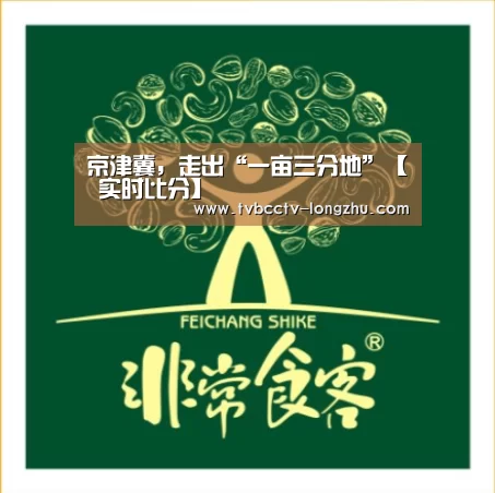 京津冀,走出“一亩三分地”【 实时比分】(图3) 篮球直播