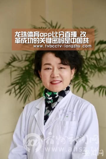  实时比分
