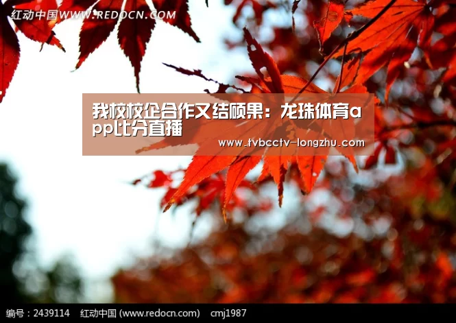  实时比分